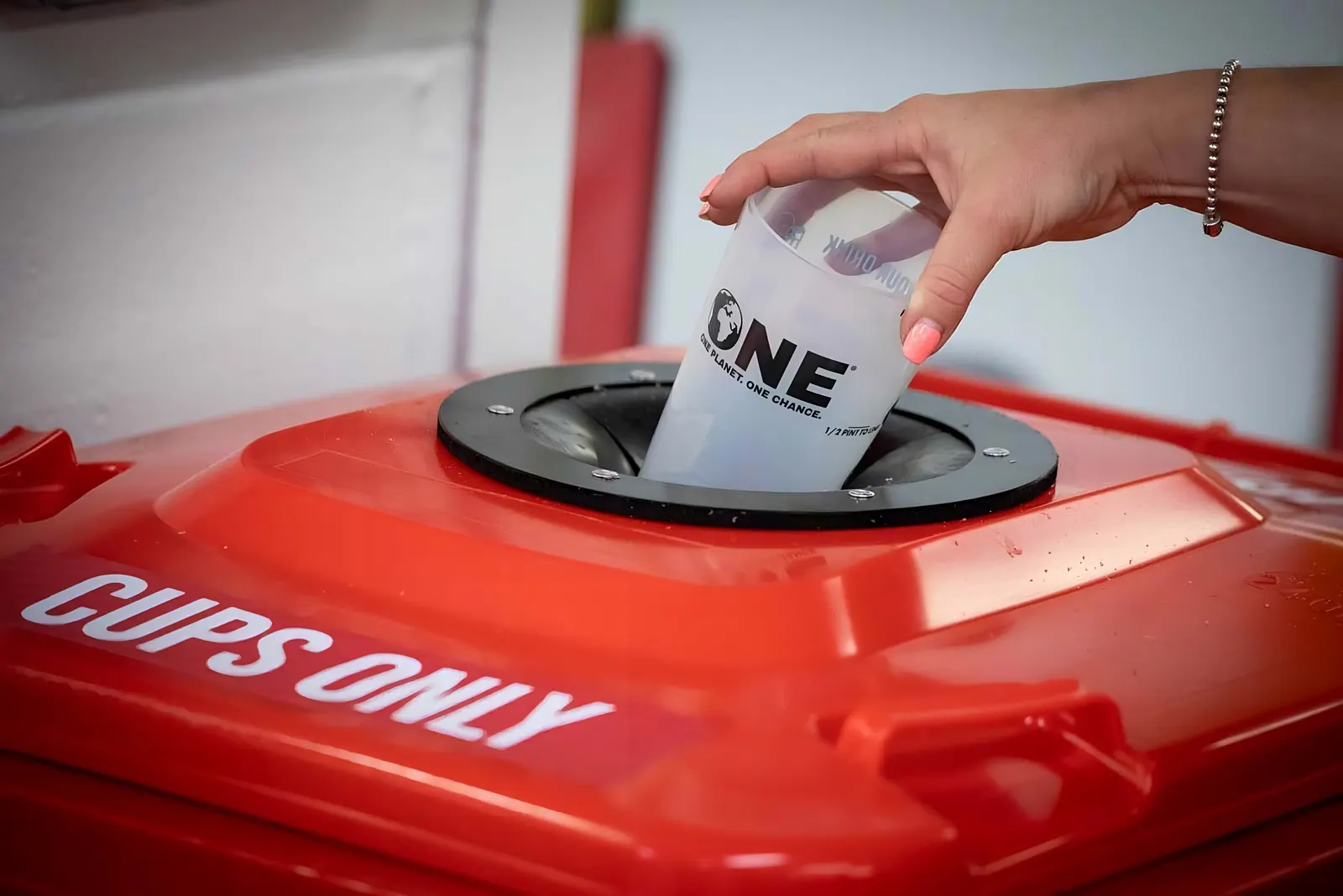 Rental Cups